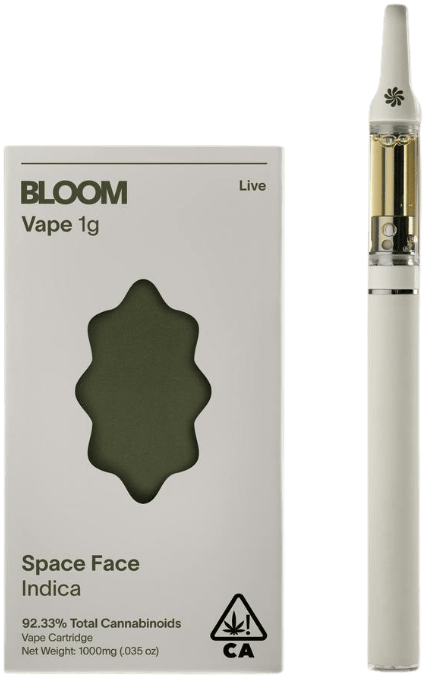 BLOOM: Space Face