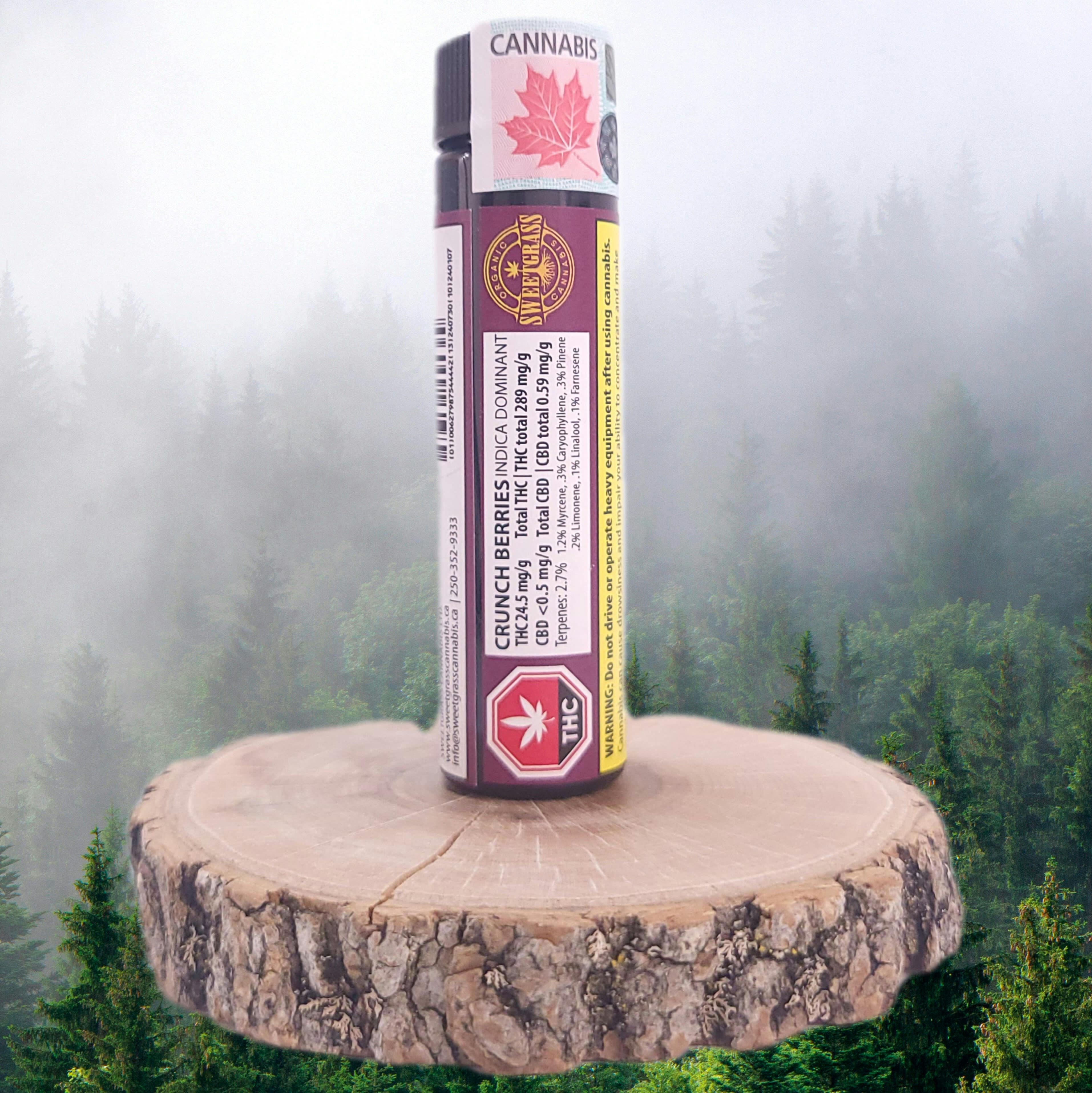 CRUNCH BERRIES PRE-ROLLS | 3 X