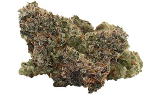 Pistol and Paris | PINK GOO SMALLS | 3.5G