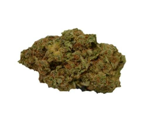 RIPPED HYBRID DRIED FLOWER - 1