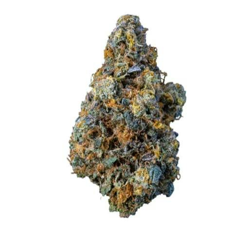 CRUSHED VELVET PREMIUM FLOWER LTO - 14