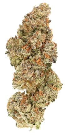 KUSH MINTS - 28