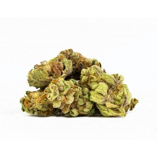 Purple Punch