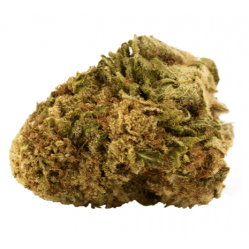 AAA Hybrid (White Widow)