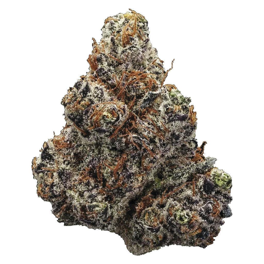 Northern Lights 14g