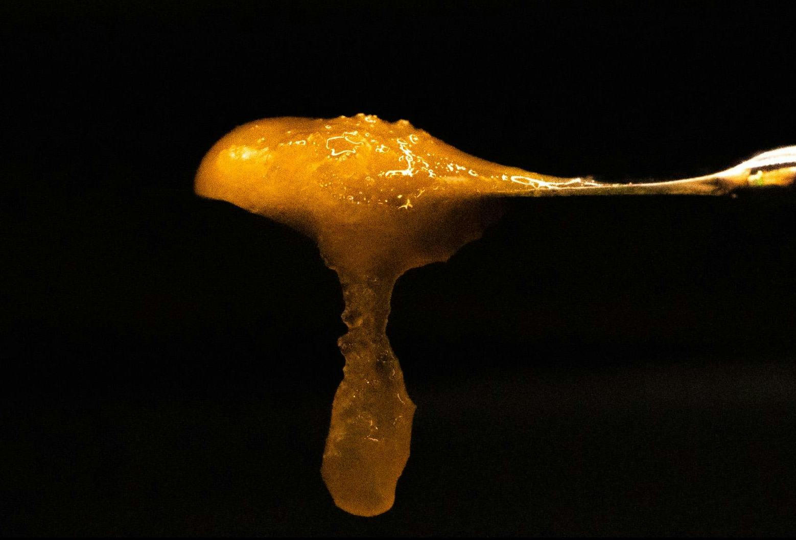 G2 | Sack Sauce | 7g Sauce