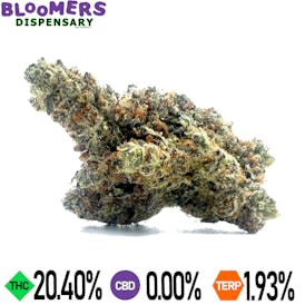 SUNDAE DRIVER - $100 Oz Special