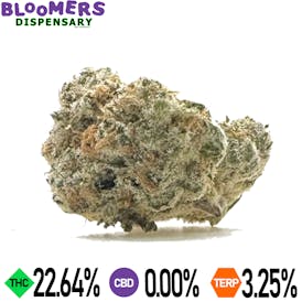 CHERRY ROZAY | 14G HALF