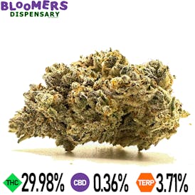 JUICY J | 14G HALF