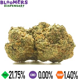 CHOCOLATINA | 14G HALF