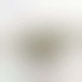 DANTE'S INFERNO | 14g Half