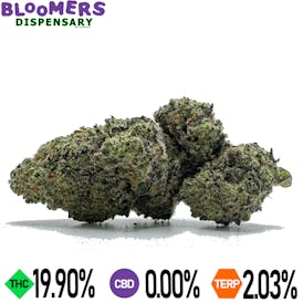 JACK HERER | 14G Half