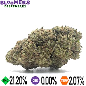 DURBAN POISON | 14g Half