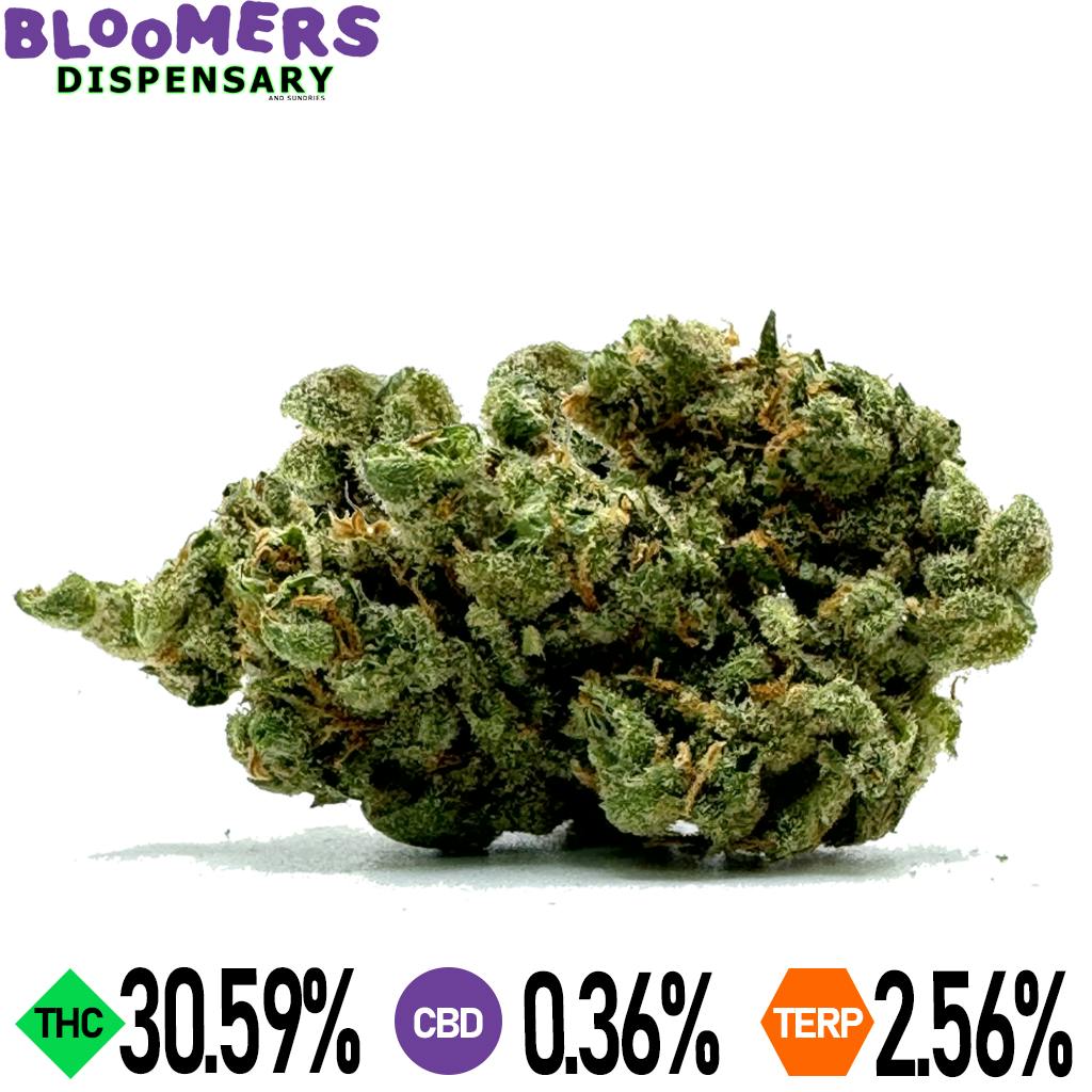 XJ-13 | 14G HALF