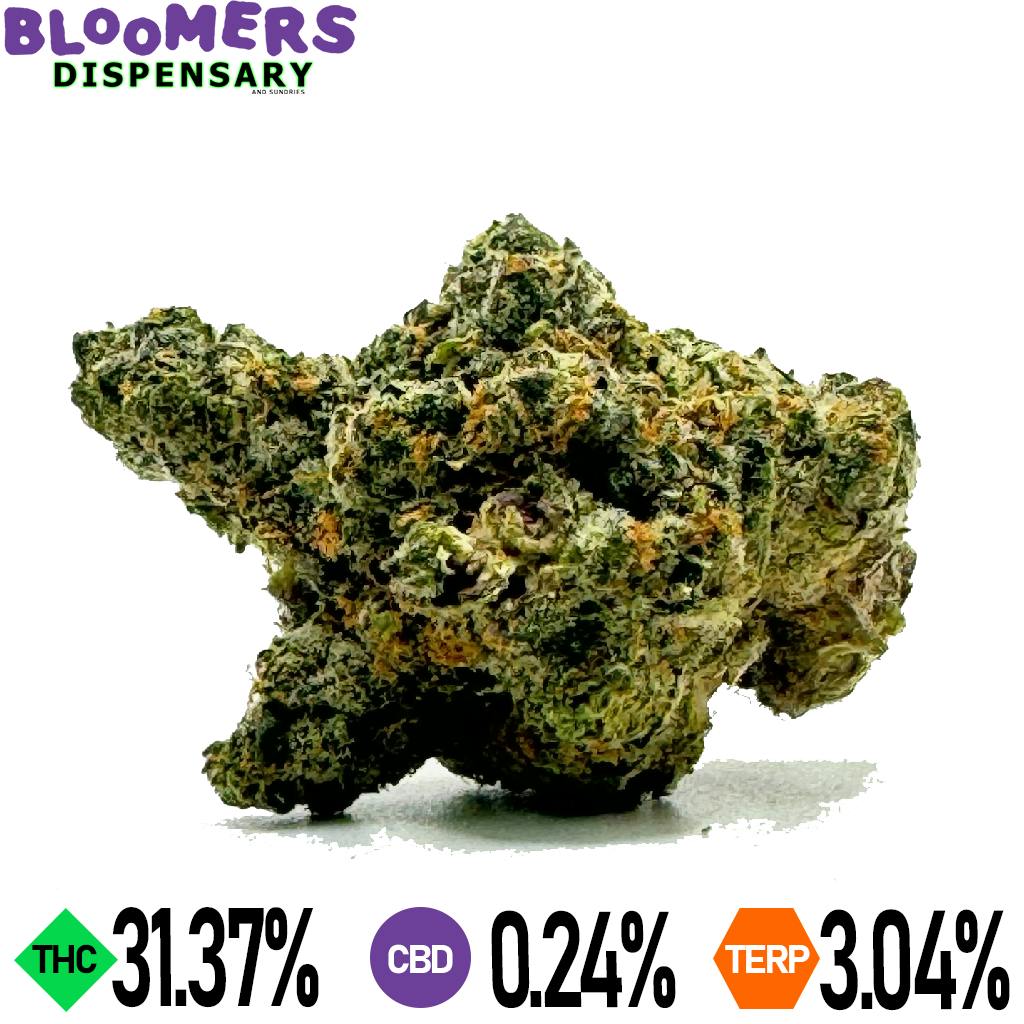 APPLE FRITTER | 14G Half