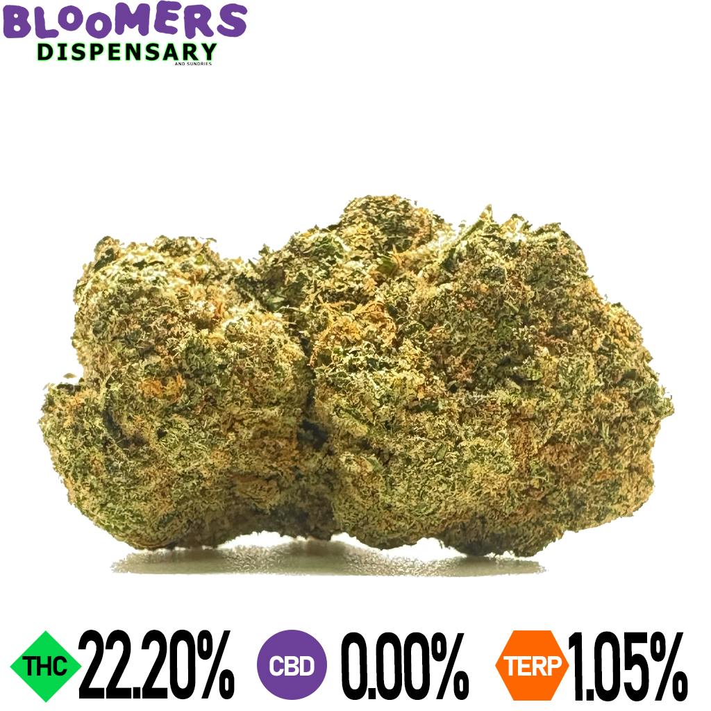 CHOCOLATINA | 14G HALF