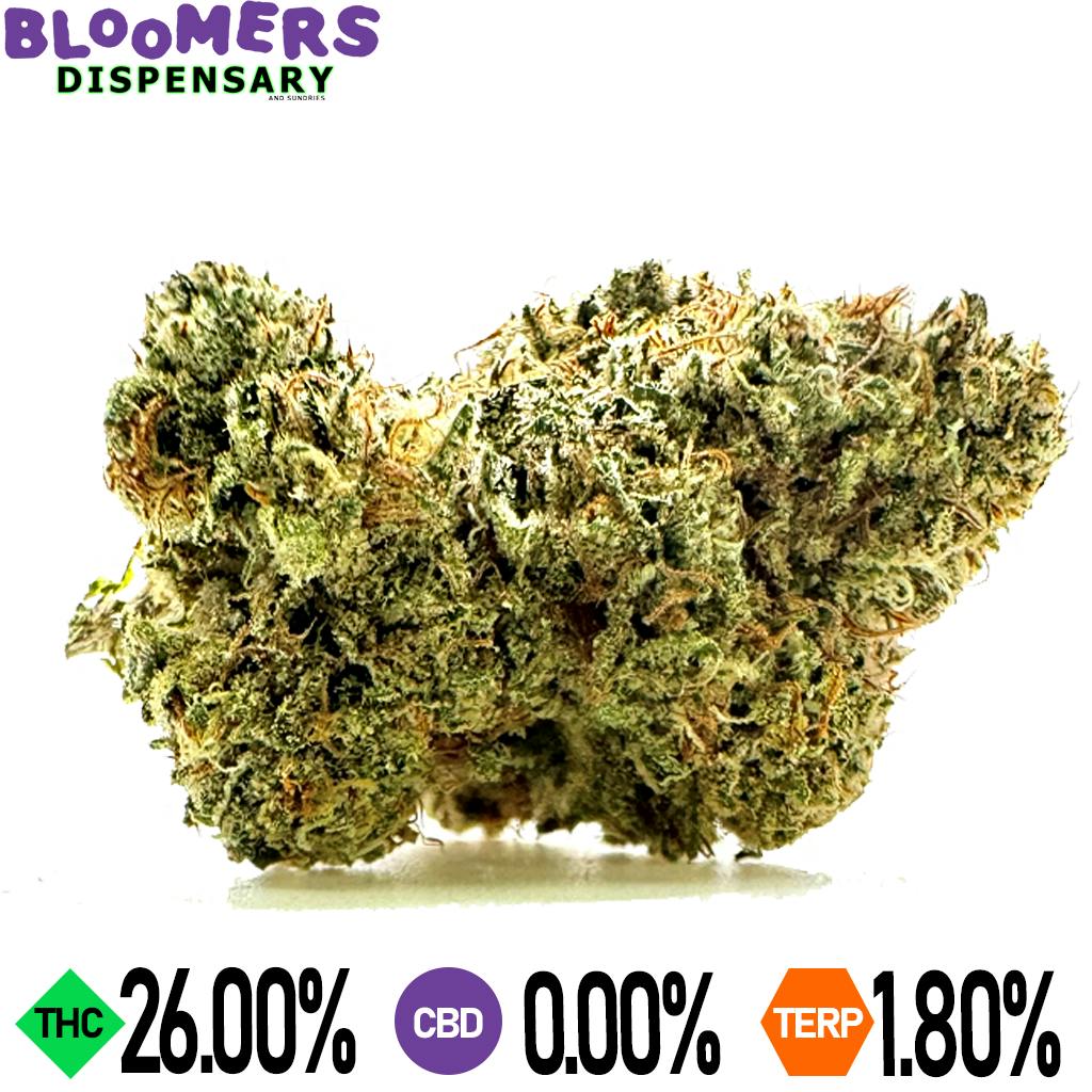 GYPSY ROAD | 3.5G