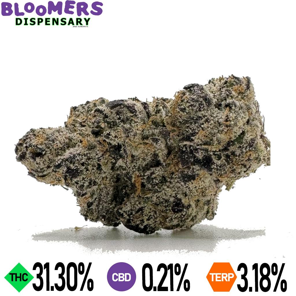 Gelato 2