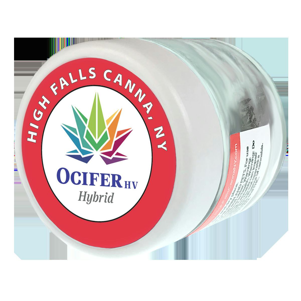 High Falls Canna | Ocifer | Flower