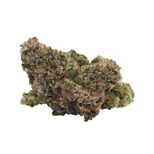 Pistol and Paris Pink Goo Smalls 3.5g