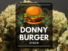 Elite Cultivation - Donny Burger
