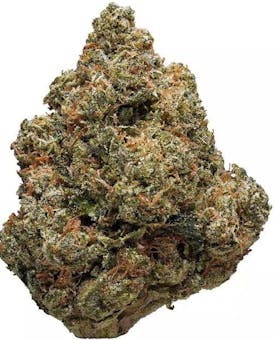 Gulab Inc- Headband