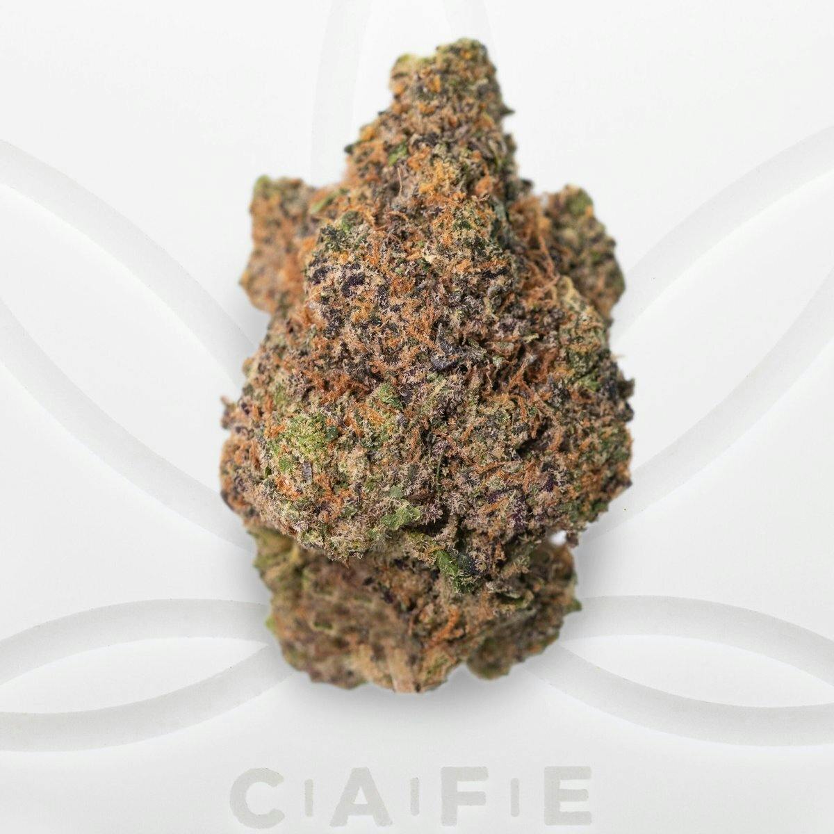 Urban Empire 3.5g Lemon Cherry Gelato at Lotus Gold Cannabis Co.