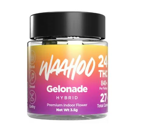 WaaHoo | "Gelonade" | Flower | 3.5g