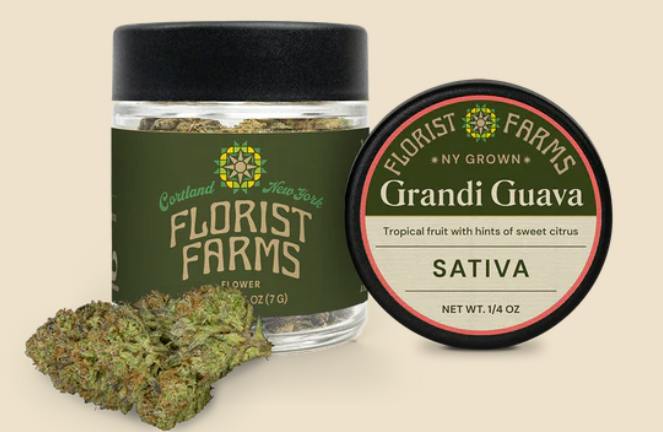 Florist Farms | "Grandi Guava" | Flower | 7g