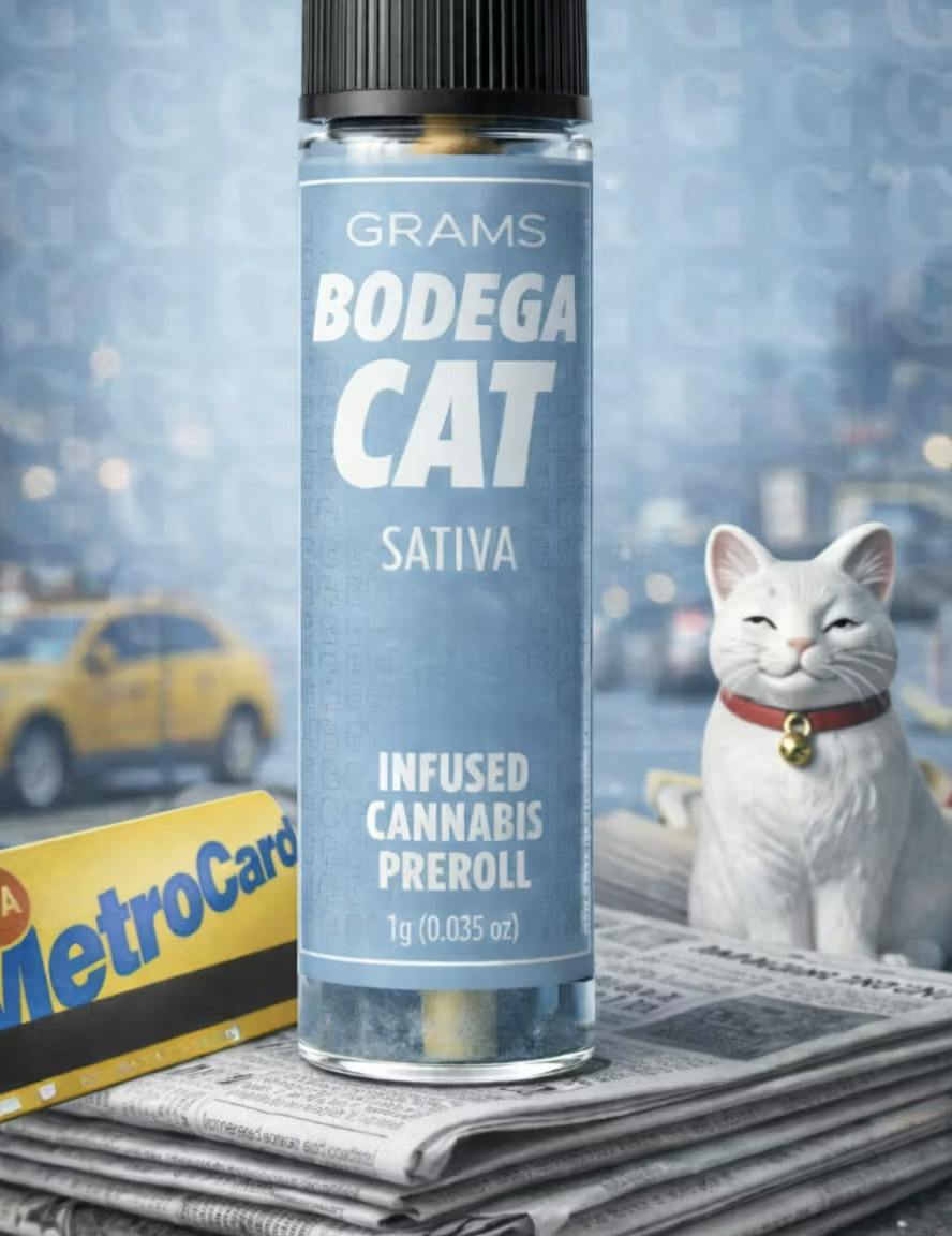 Bodega Cat