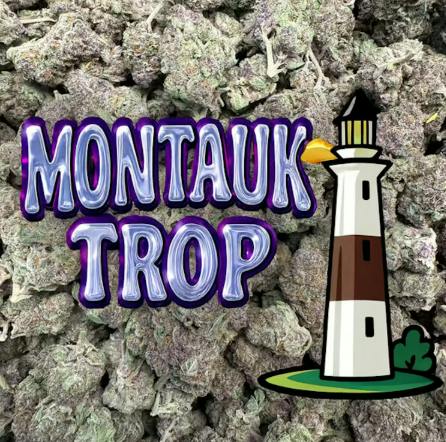 Out East Canna | "Montauk Trop" | Flower | 14g