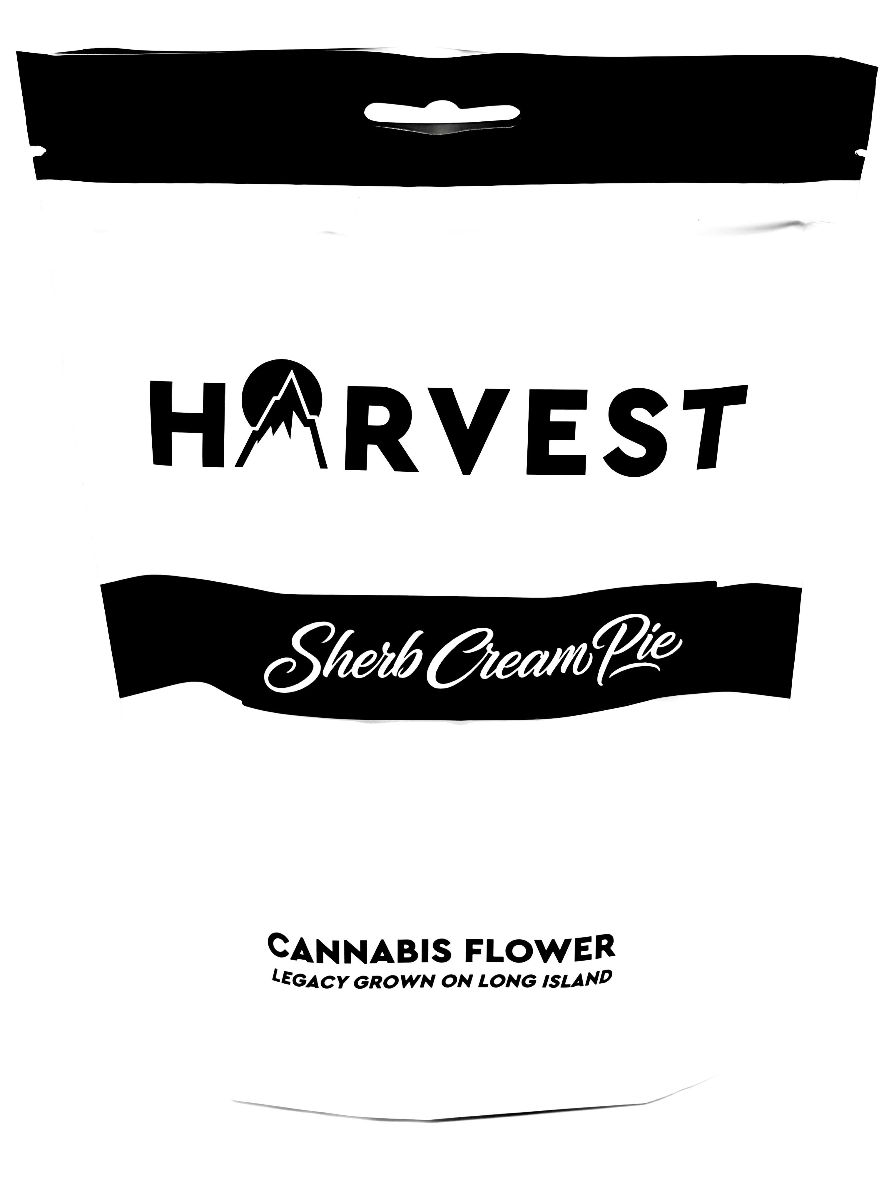 Harvest | "Sherb Cream Pie" | Flower | 28g