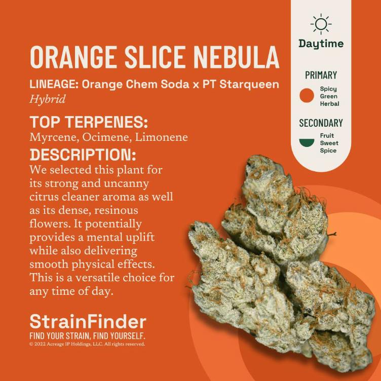 The Botanist | "Orange Slice Nebula" | Flower | 3.5g