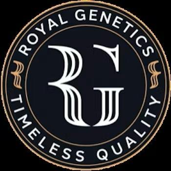 Royal Genetics | "Sour Diesel" | Flower | 3.5g