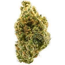 STIIIZY | Sweet Tangie
