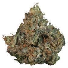 High Lights | Lemon Cherry Gelato