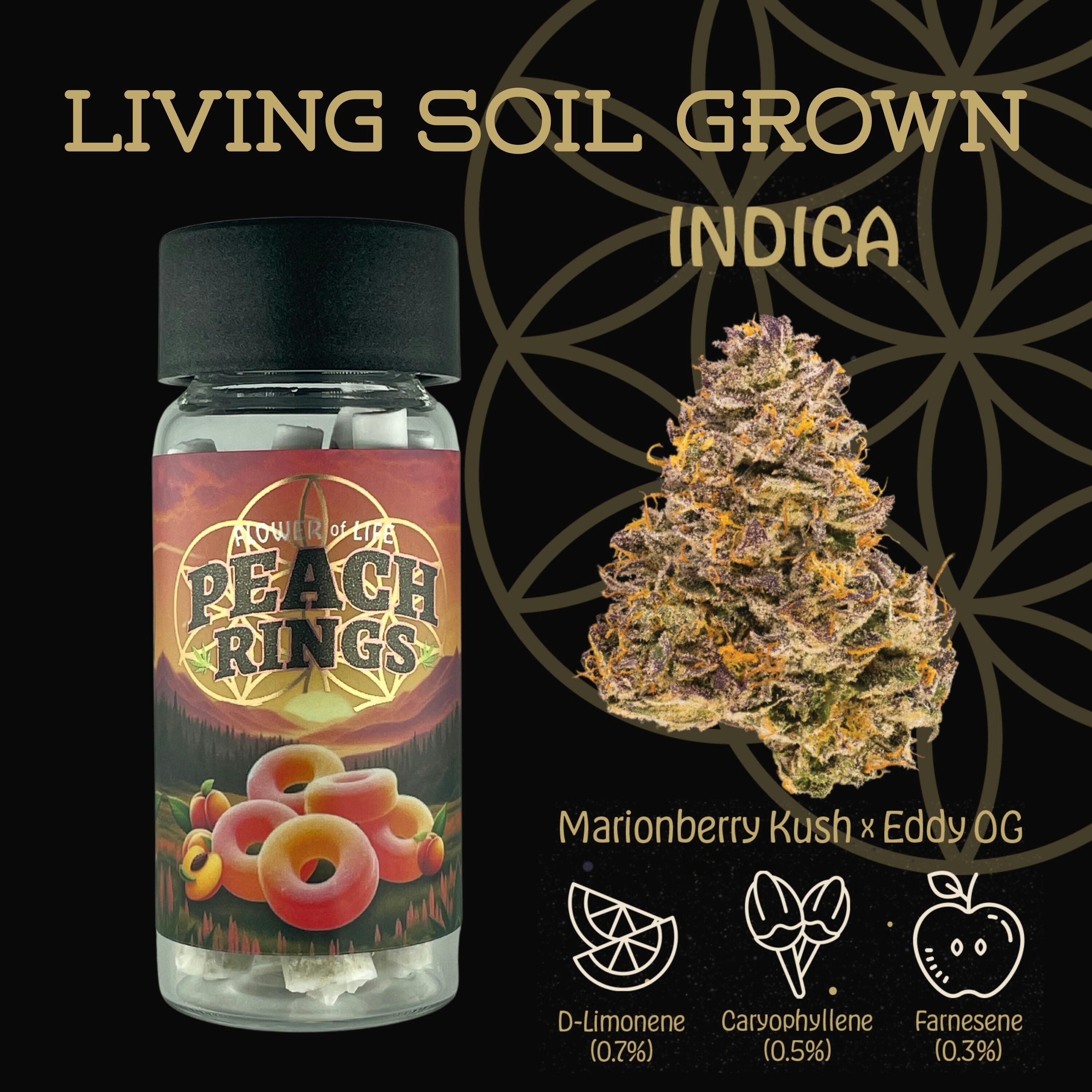 Flower Of Life - Peach Rings - Organic Pre Roll Pack - 5pk - 2.5g - Hybrid