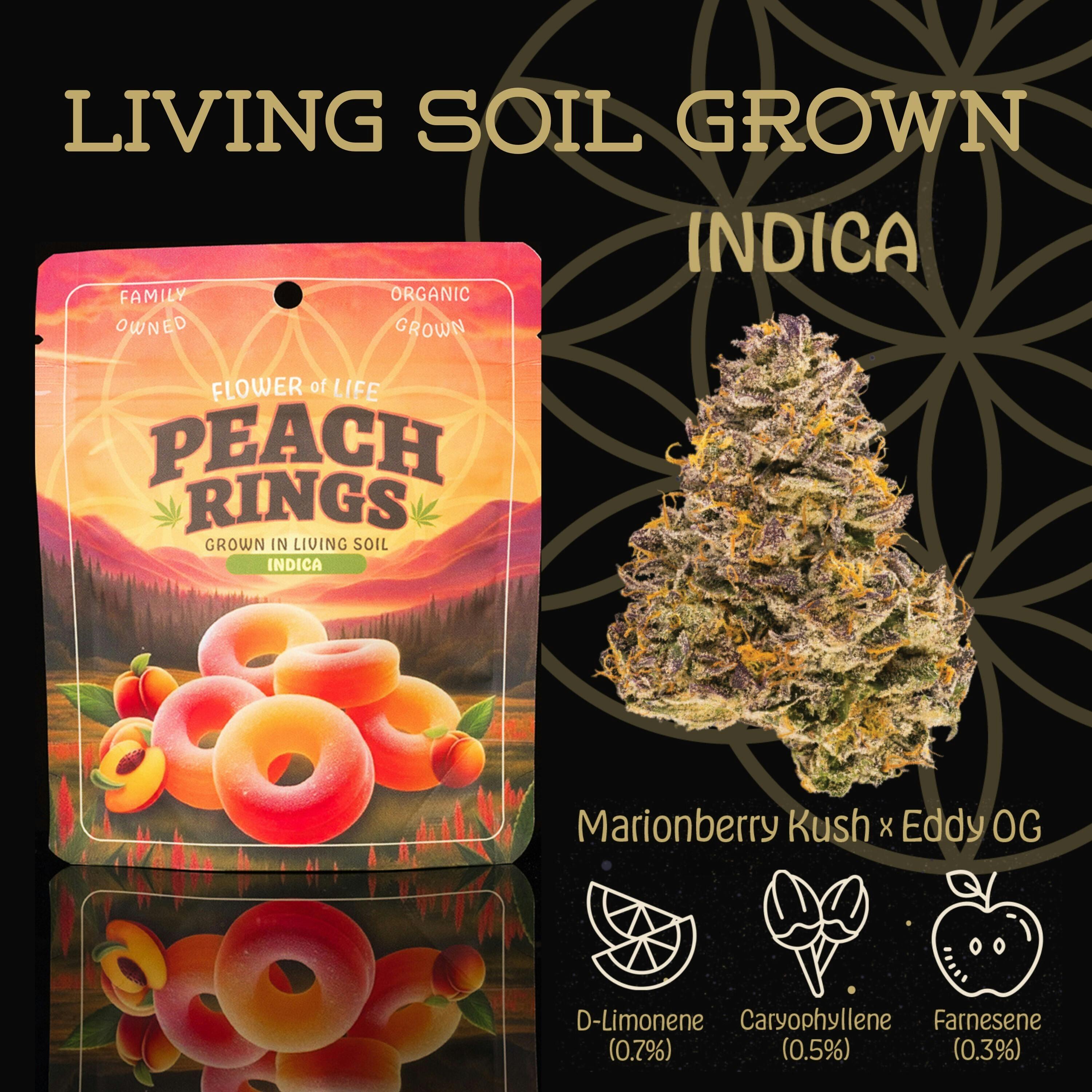 Flower Of Life - Peach Rings - Organic Bulk Flower - Indica Dom