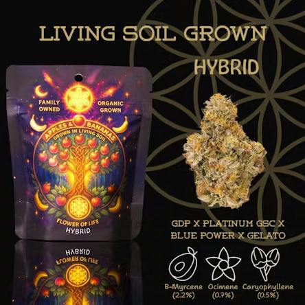 Flower Of Life - Apples & Bananas - Organic Bulk Flower - Hybrid