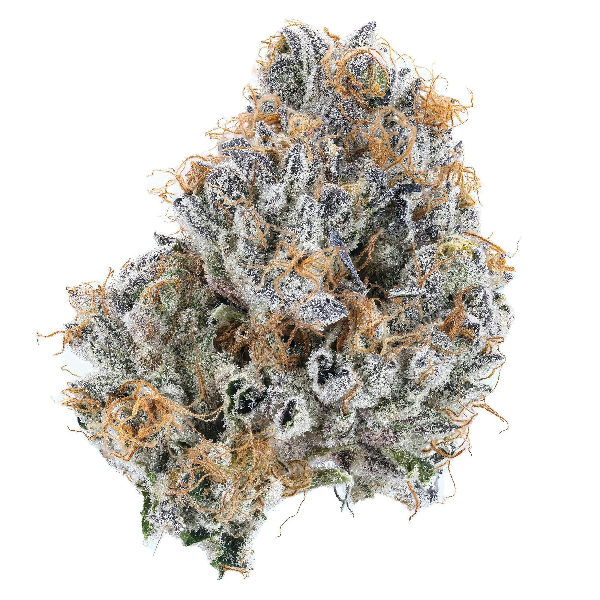 ECC - Grape Lime Pie