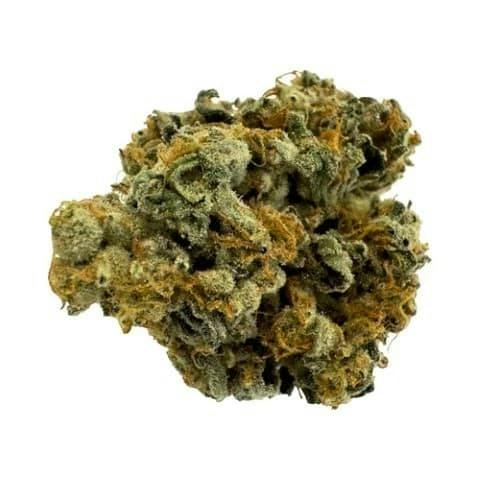 Morning Sun 7g Dried Flower