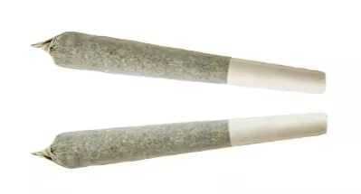 Indica Eh: Clementine Kush Indica 2 x 1g Pre-Rolls