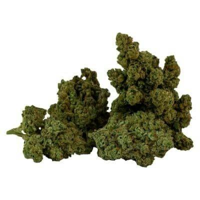 Snow Panda Indica 3.5g Dried Flower