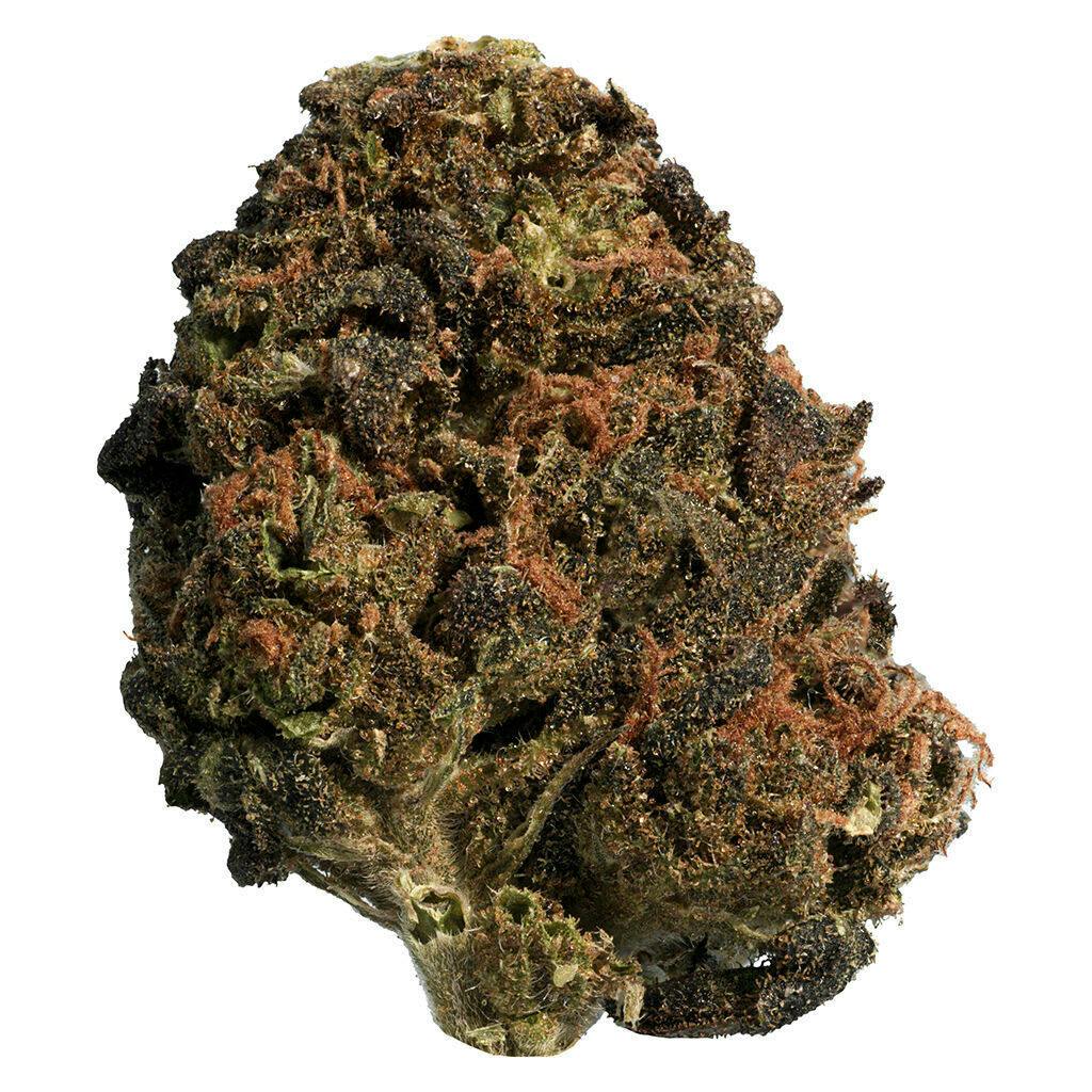 BC Organic Sun Grown Mango Sapphire 28g Dried Flower