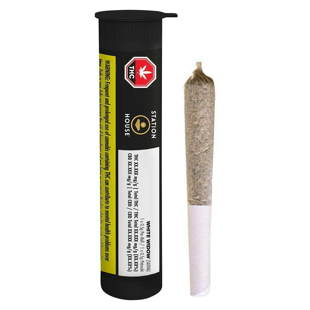 White Widow 1 x 0.5g Pre-Roll