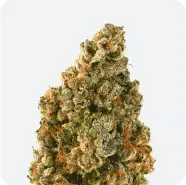 Organic Apex Kush 7g Dried Flower