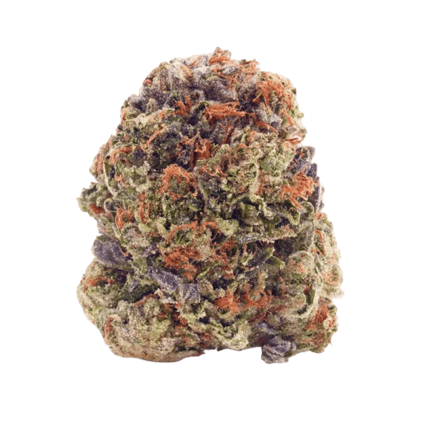 Mango Voltage 7g Dried Flower