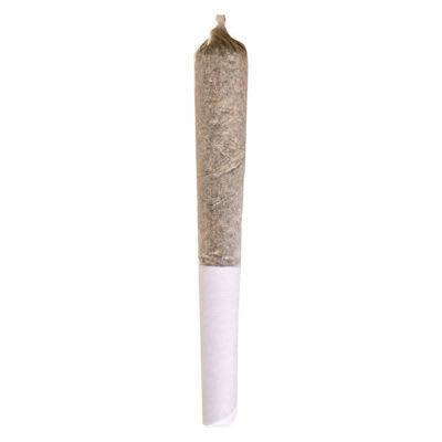 Ripped Indica 1 x 0.5g Pre-Roll