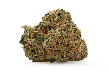 Organic Purple Passion Fruit 14g Dried Flower