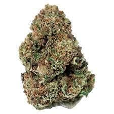 Northern Lights 7g